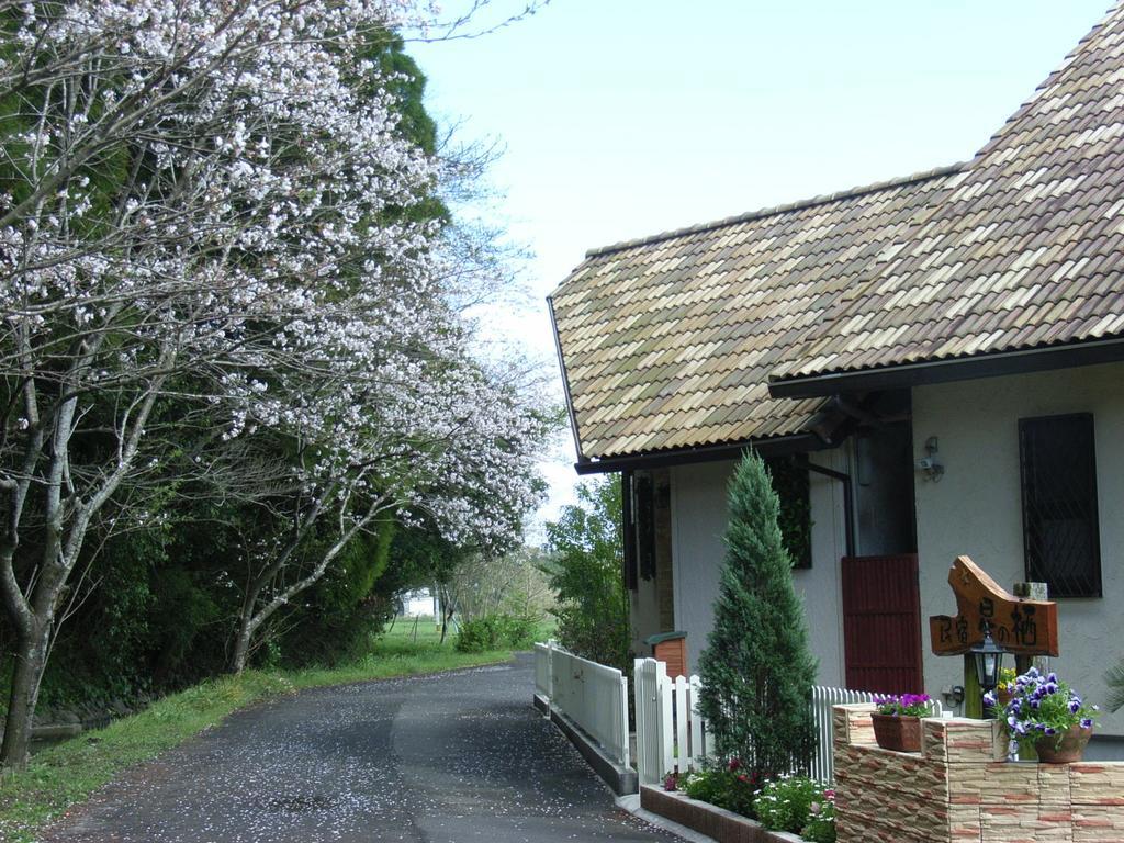 Hotel Minshuku Hoshi No Sumika Shibushi Exterior foto